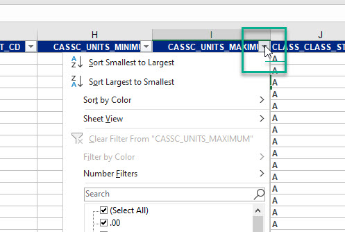 Basic Excel Tips and Tricks | Registrar Student Data